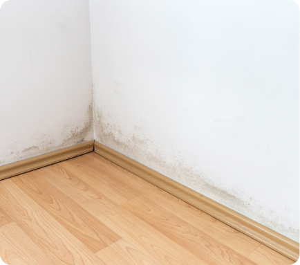 Odor removal service Tulsa OK