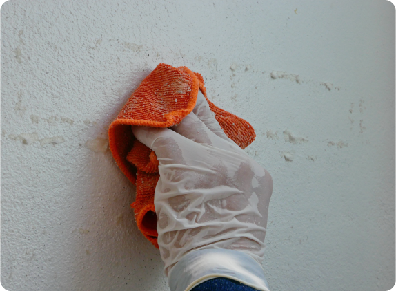 Mold Removal in Glenpool, OK - The Number 1 Painter and Remodeling co. of Glenpool Tulsa