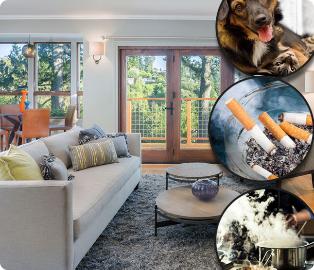 Odor Removal in Tulsa, OK - The Number 1 Painter and Remodeling co. of Tulsa Tulsa