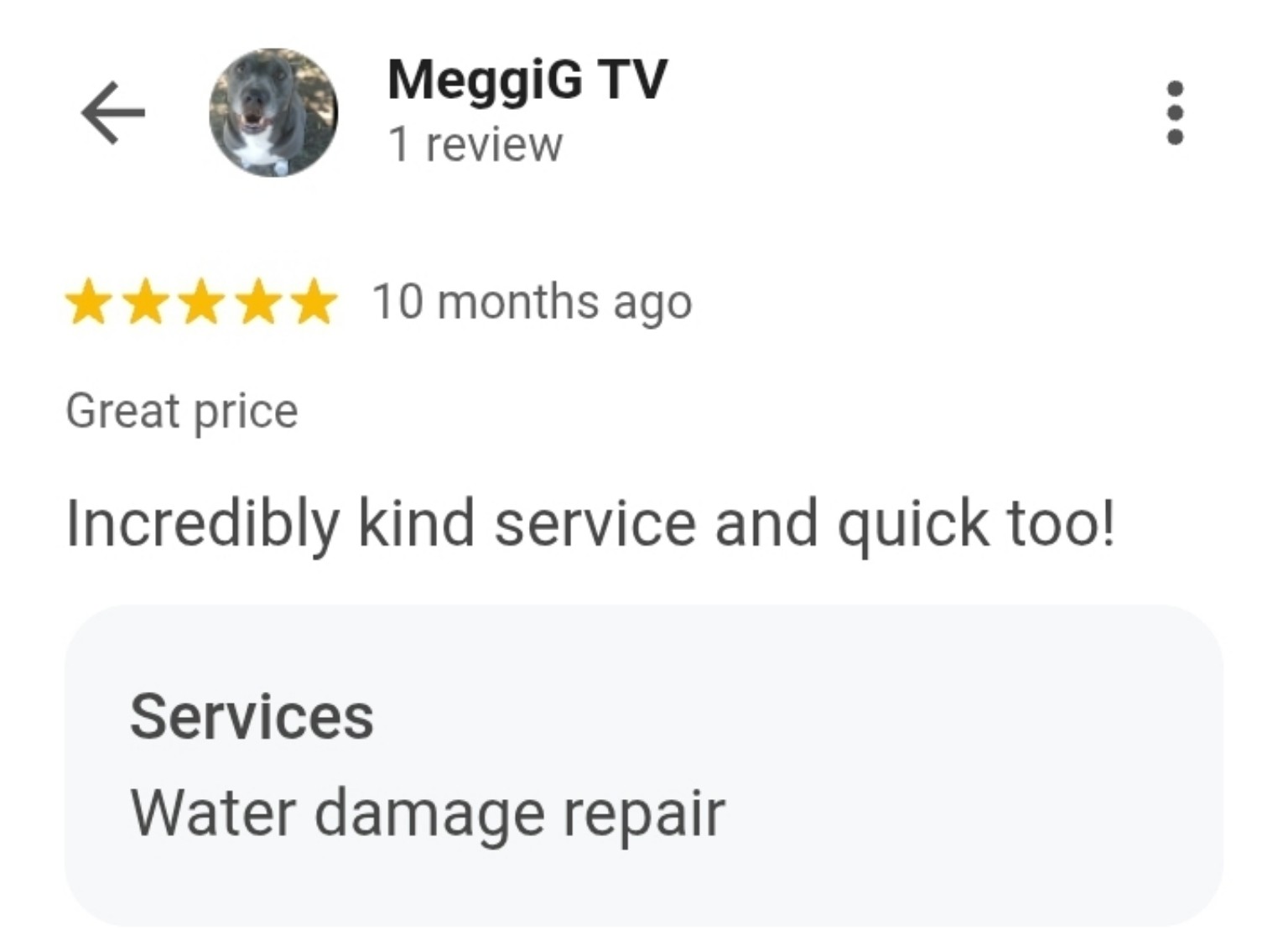 Google customer review 51